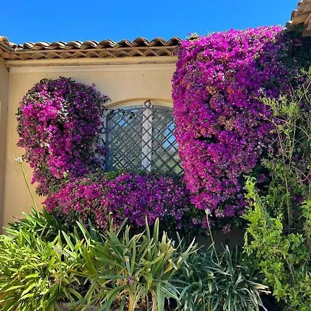 Villa Magnifique Vue Avec Piscine Et Privee